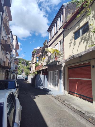 Jour 9 - Fort de france et retour