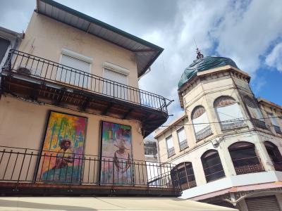 Jour 9 - Fort de france et retour