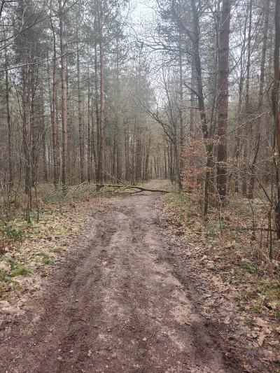 Notre campagne Normande