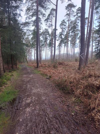 Notre campagne Normande