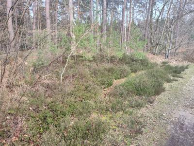 Notre campagne Normande